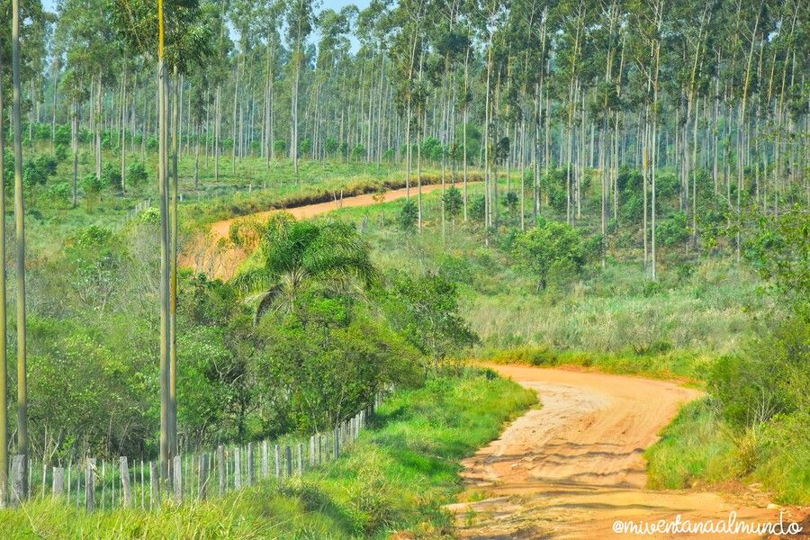 conducir en Paraguay