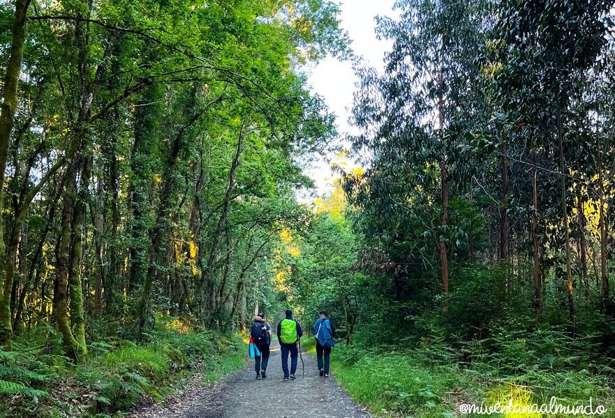 preparativos del camino de santiago desde sarria