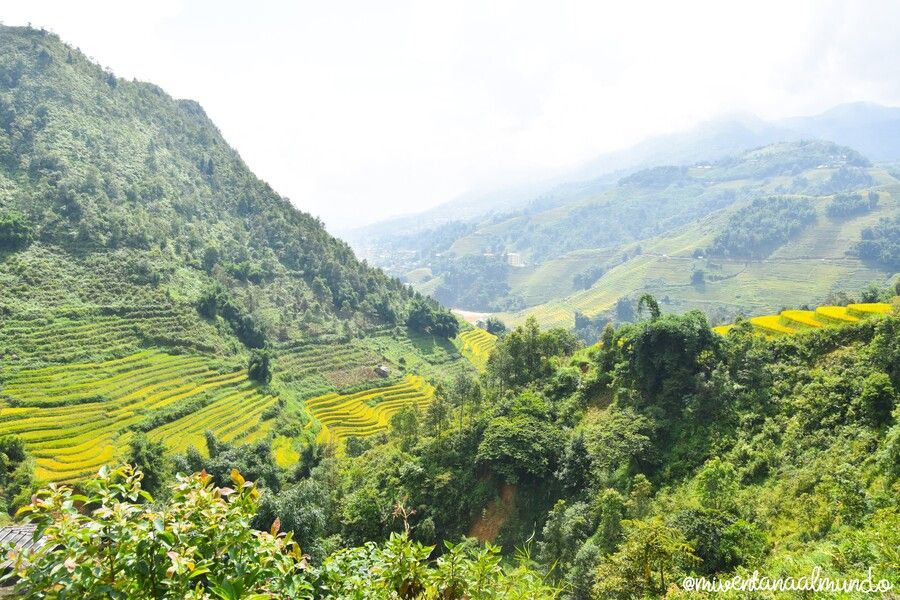 Qué hacer en Sapa