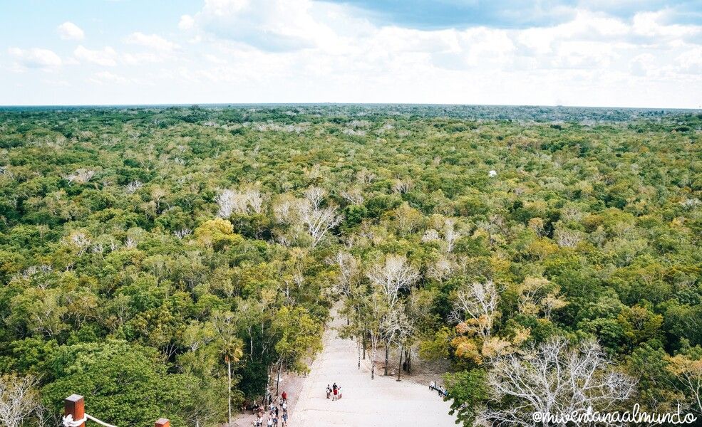 las mejores excursiones que hacer en Riviera Maya